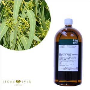 生活の木 アロマオイル ユーカリ シトリオドラ レモンユーカリ 1000ml 08 436 3950 受注生産