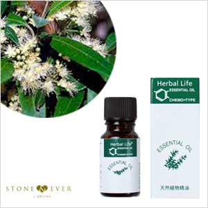 生活の木 アロマオイル レモンマートル 10ml 08 440 34