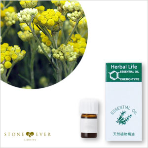 生活の木 アロマオイル イモーテル ヘリクリサム 1ml 08 450 2240 レアバリュー 生活の木 アロマオイル イモーテル ヘリクリサム 1ml 08 450 2240 レアバリュー