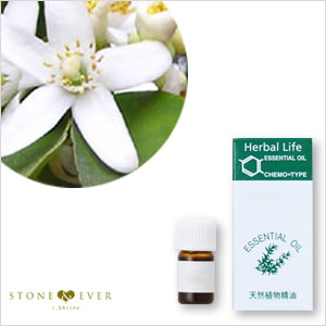 生活の木 アロマオイル ネロリ チュニジア産 ビターオレンジ 1ml 08 450 2480 レアバリュー