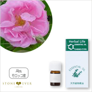 生活の木 アロマオイル ダマスクローズabs モロッコ産 1ml 08 452 3870 花精油