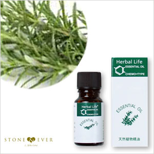 生活の木 アロマオイル ローズマリー カンファー 10ml 08 458 2290