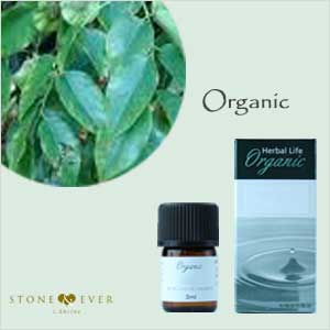 生活の木 アロマオイル 有機ローズウッド 葉 3ml 08 459 5230