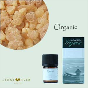 生活の木 アロマオイル 有機フランキンセンス 乳香 オリバナム 3ml 08 459 5410