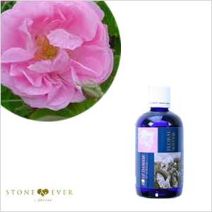 【生活の木】フローラルウォーター『ローズダマスク 100mL』[12-805-0510]