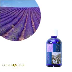 【生活の木】フローラルウォーター『ラベンダー(真正ラベンダー) 100mL』[12-805-0590]