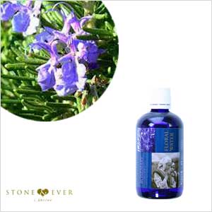 生活の木 フローラルウォーター ローズマリー 100ml 12 805 0560 生活の木 フローラルウォーター ローズマリー 100ml 12 805 0560