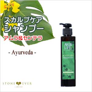 生活の木 アーユルヴェーダ スカルプケア トニックシャンプー アムラ センテラ 0ml 14 804 6030