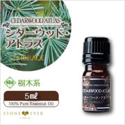 生活の木　アロマオイル 人気