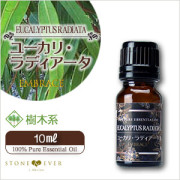 アロマオイル 人気