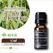 アロマオイル 人気
