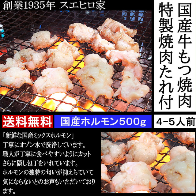 新鮮 国産牛 ホルモン 焼肉 500g