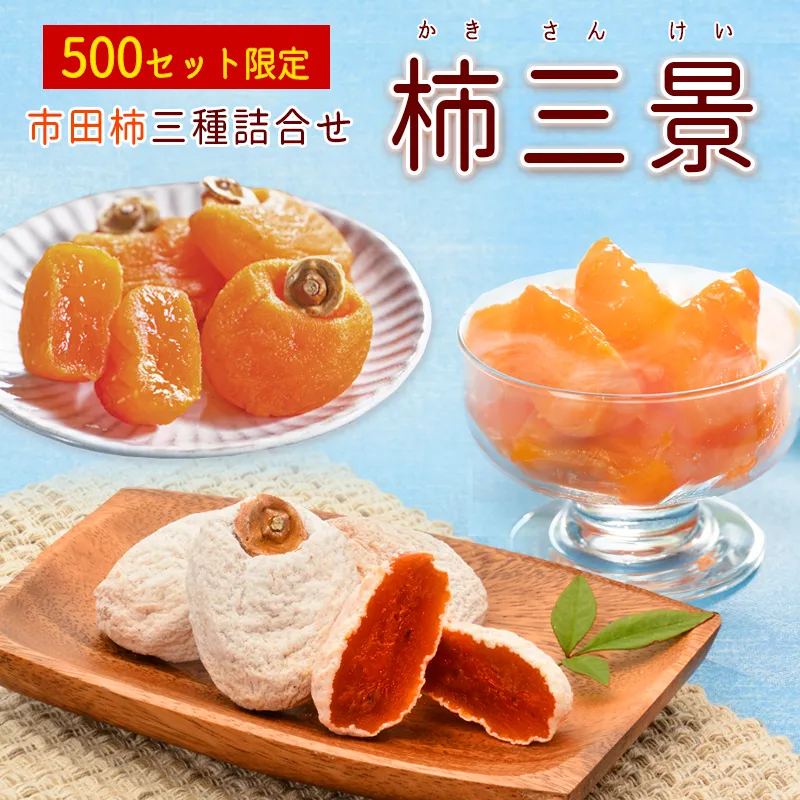 shinryo2010　市田柿　900g×3袋 楽天市場】【送料無料】冷凍 市田柿 干し柿 800g×3袋 計2.4kg
