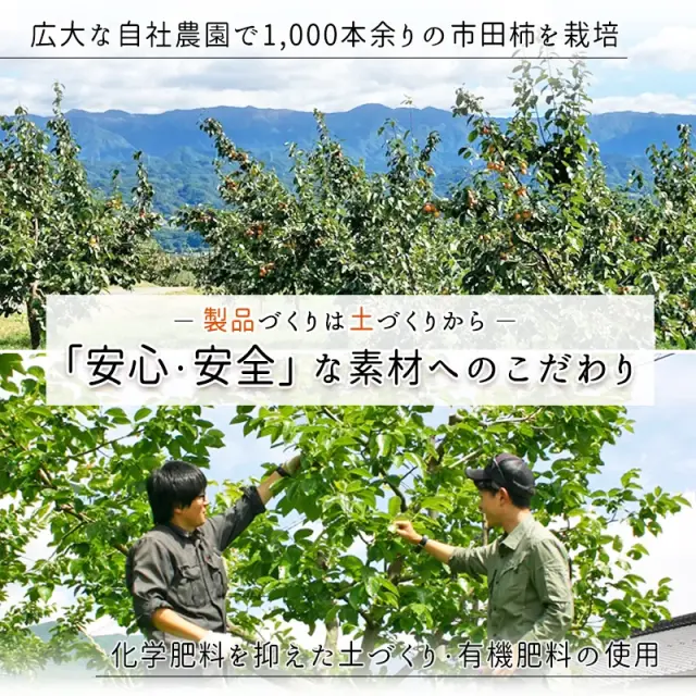 市田柿フロマージュ専用箱