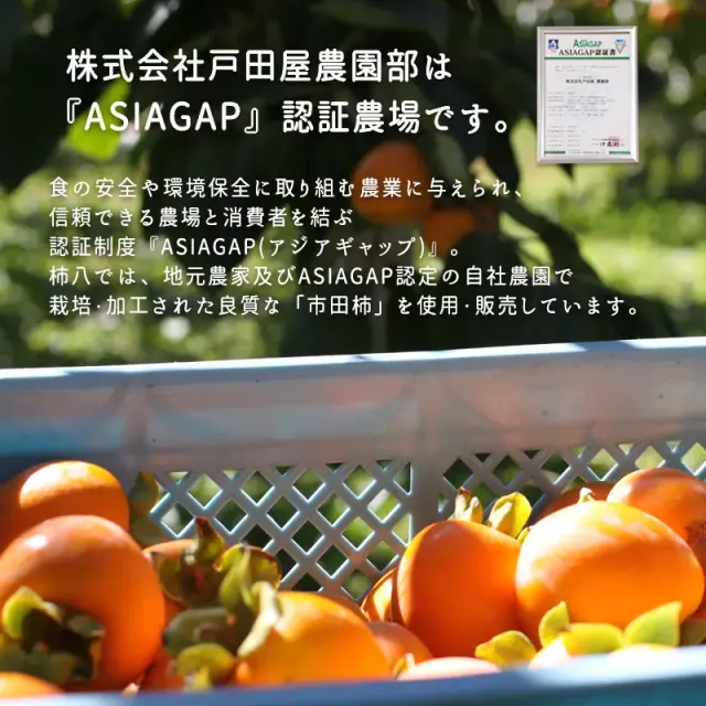 市田柿アジアギャップ