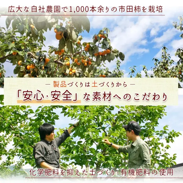 市田柿自社農園