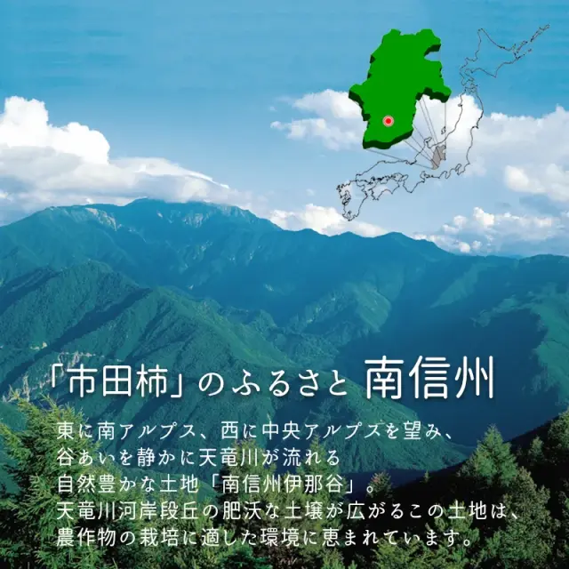 市田柿　南信州について