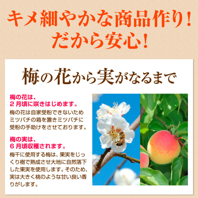 梅干しの一冨士】アップル梅 塩分3% 500g