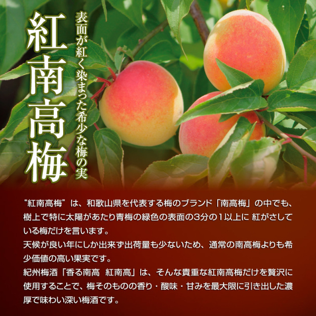 梅干しの一冨士】香る南高 紅南高 720ml お酒