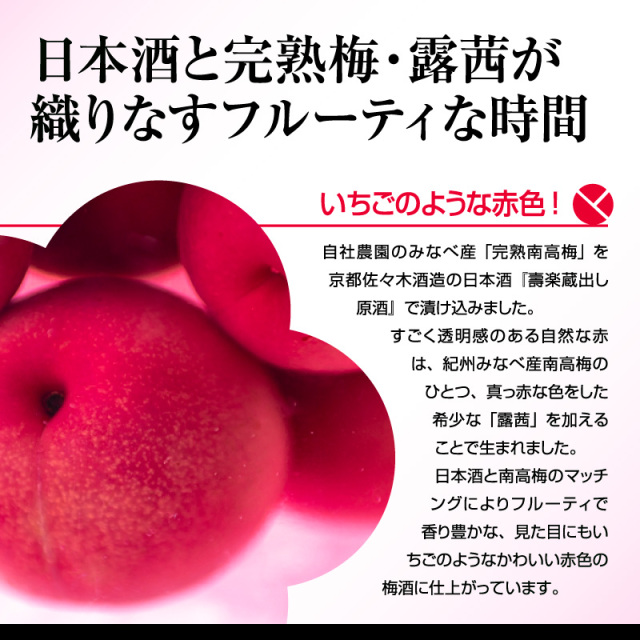梅酒,お酒,うめしゅ,ウメシュ,紀州南高梅使用,うめよし