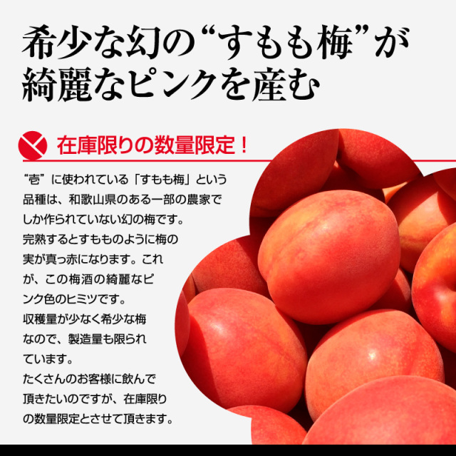 梅酒,お酒,うめしゅ,ウメシュ,紀州南高梅使用,うめよし