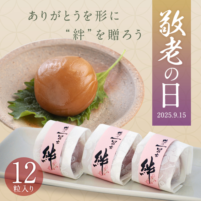 敬老の日,梅干し,うめぼし,ウメボシ,紀州南高梅,ギフト,個包装,贈答