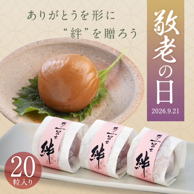 敬老の日,梅干し,うめぼし,ウメボシ,紀州南高梅,ギフト,個包装,贈答