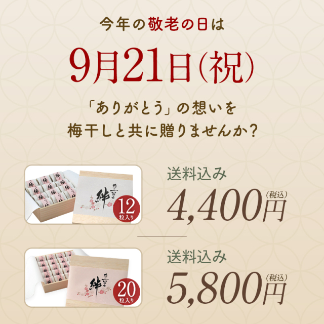 敬老の日,梅干し,うめぼし,ウメボシ,紀州南高梅,ギフト,個包装,贈答