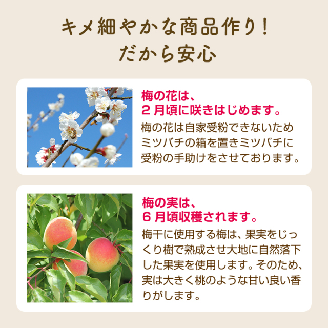 敬老の日,梅干し,うめぼし,ウメボシ,紀州南高梅,ギフト,個包装,贈答