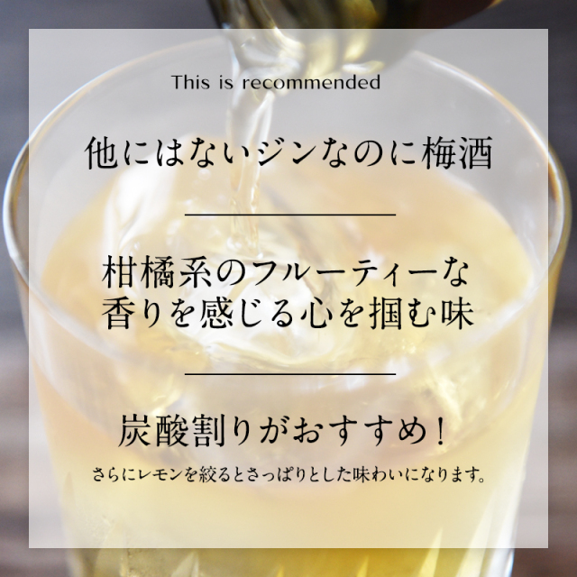 梅酒,お酒,うめしゅ,ウメシュ,紀州南高梅使用,プラム食品