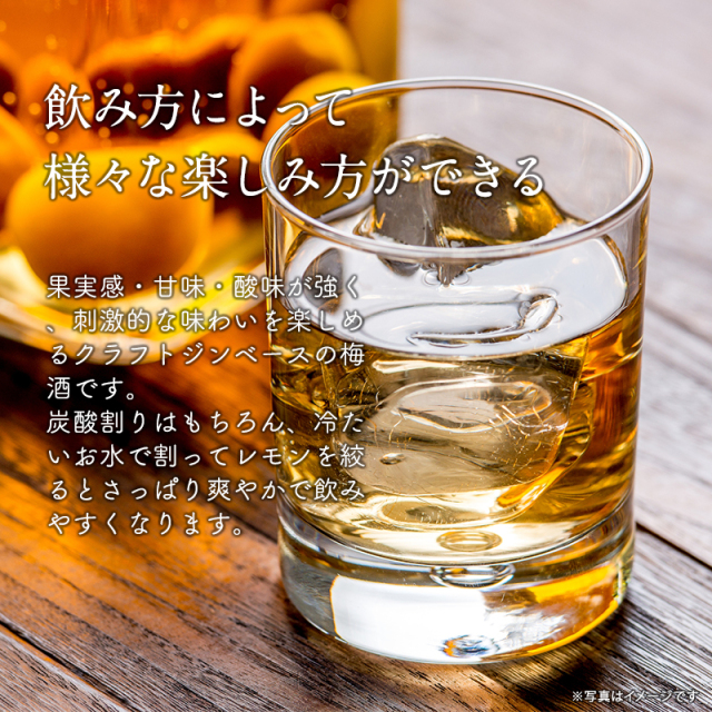 梅干しの一冨士】梅酒 紀州熊野蒸溜所 クラフトリキュールくまの 500ml