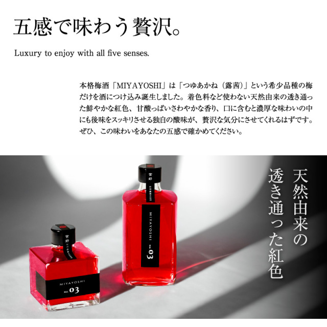 梅干しの一冨士】梅酒 MIYAYOSHI No.03 small bottle 205ml ブラック
