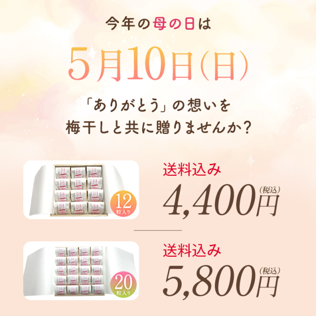 母の日,梅干し,うめぼし,ウメボシ,紀州南高梅,ギフト,個包装,贈答