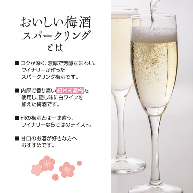 梅酒,お酒,うめしゅ,ウメシュ,南高梅,湯浅ワイナリー
