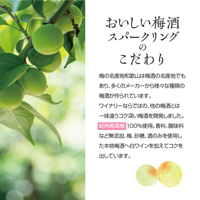 梅酒,お酒,うめしゅ,ウメシュ,南高梅,湯浅ワイナリー