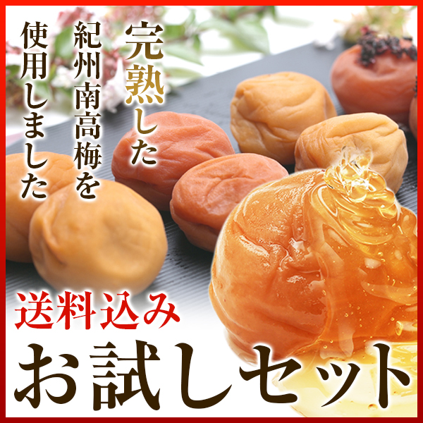 梅干し,紀州南高梅,お試し,減塩,一冨士