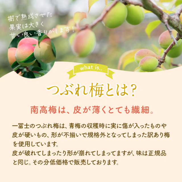 梅干し,紀州南高梅,訳あり,減塩,一冨士