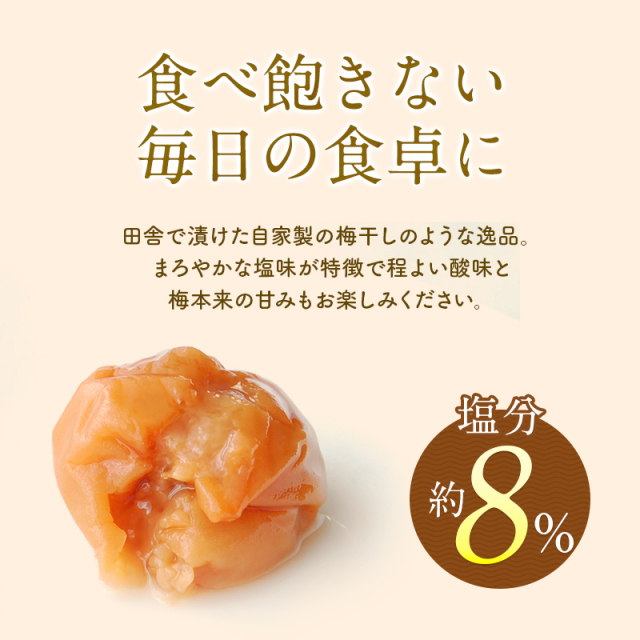 梅干し,紀州南高梅,訳あり,減塩,一冨士