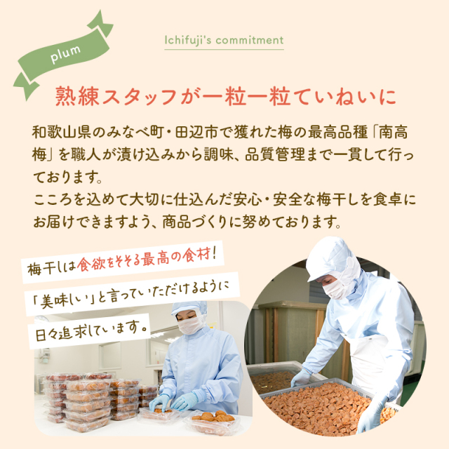 梅干し,紀州南高梅,訳あり,減塩,一冨士