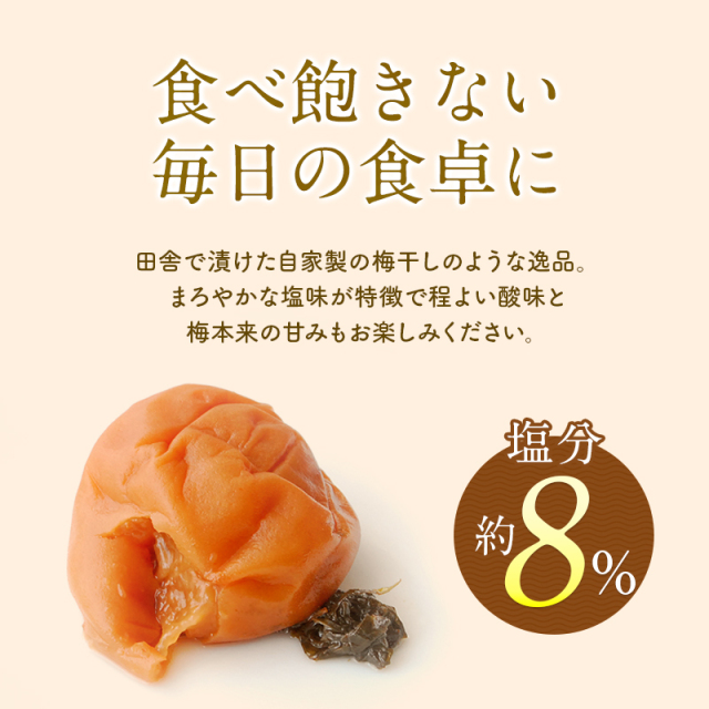 梅干し,紀州南高梅,訳あり,減塩,一冨士