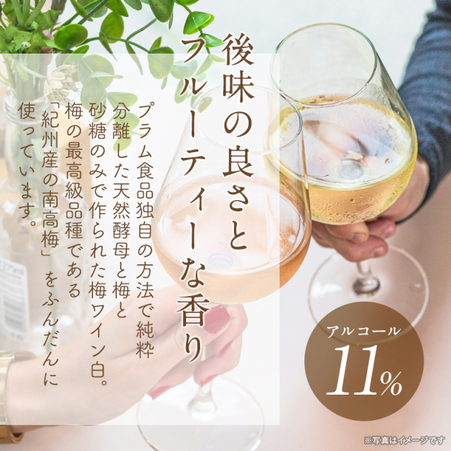 梅ワイン,甘味果実酒,お酒,ワイン,紀州南高梅使用,白ワイン,プラム食品