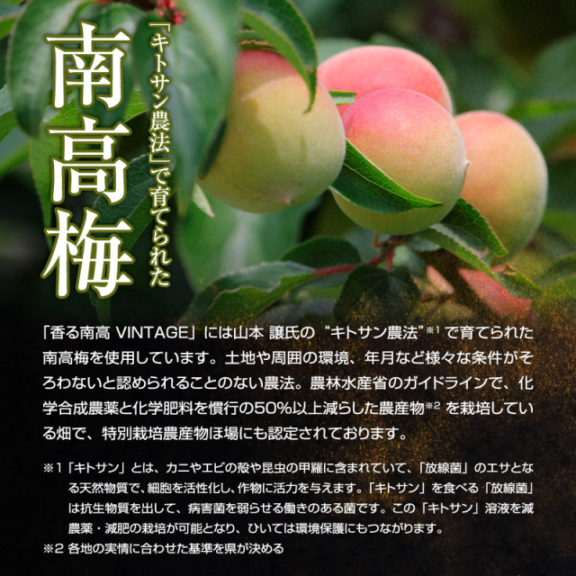 梅酒,お酒,うめしゅ,ウメシュ,紀州南高梅使用,紅南高,中野BC