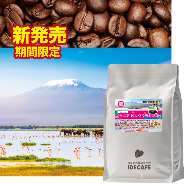 【朝市限定価格】ケニア　ピンクフラミンゴ　800g