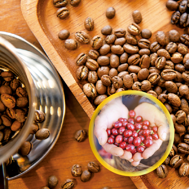 ブラジルピーベリー　フルボディー