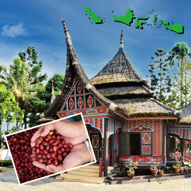 リントン　マンデリン