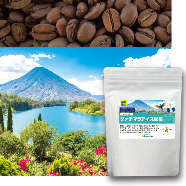 【夏季限定】グァテマラアイスコーヒー