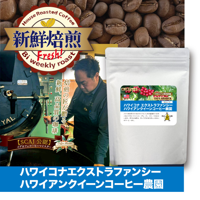【新鮮焙煎】ハワイコナエクストラファンシー ハワイアンクイーンコーヒー農園　100g　※発送3/13