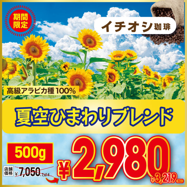 【今月のイチオシ】【季節限定】夏空ひまわりブレンド 500g