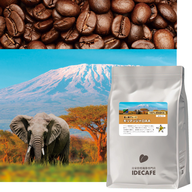 【朝市限定価格】キリマンジャロAA 800g