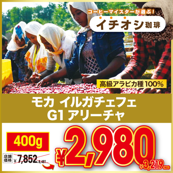 モカ イルガチェフェ　G1アリーチャ 400g